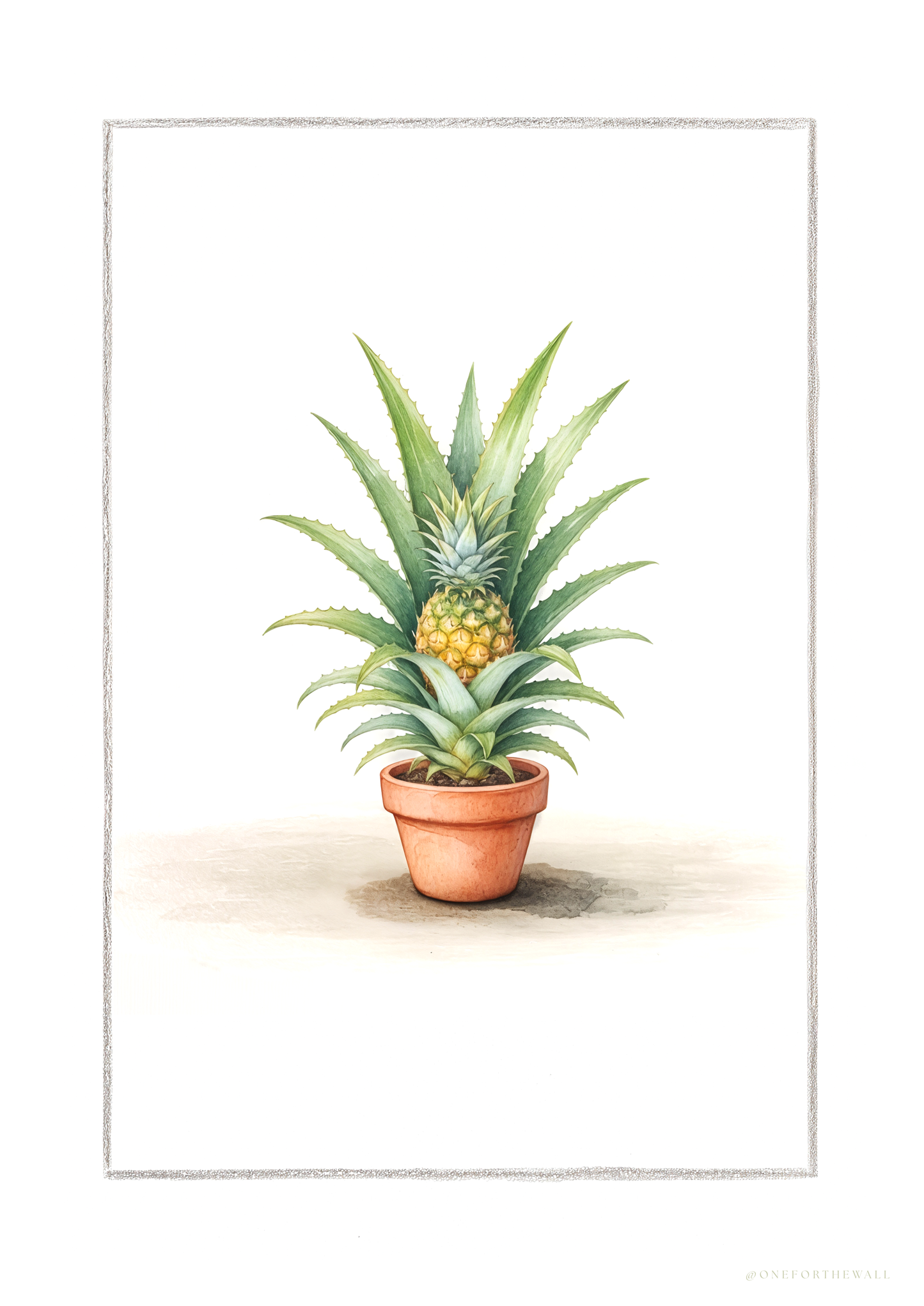 Ananas Comosus - Art Print