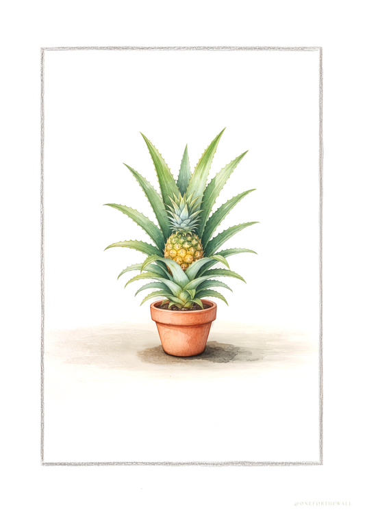 Ananas Comosus - Art Print