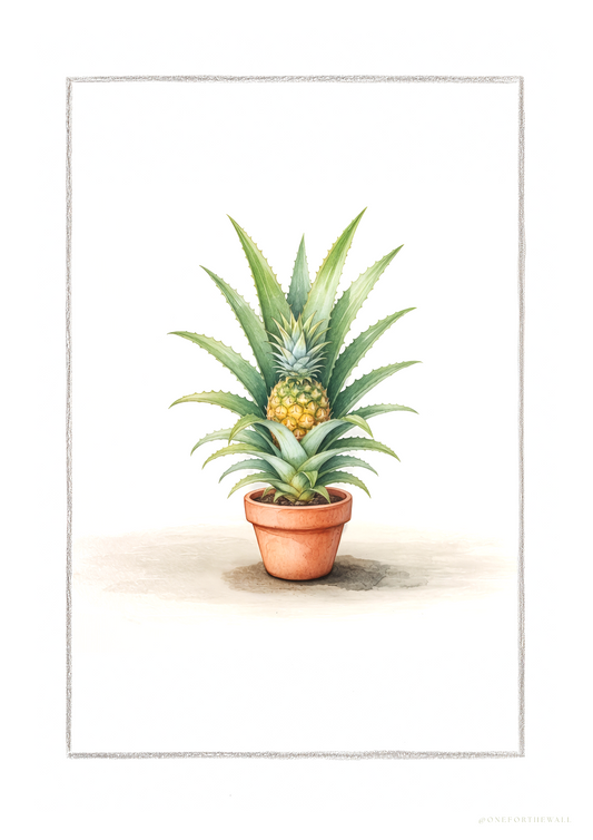 Illustreret ananasplakat – nordisk minimalistisk botanisk motiv