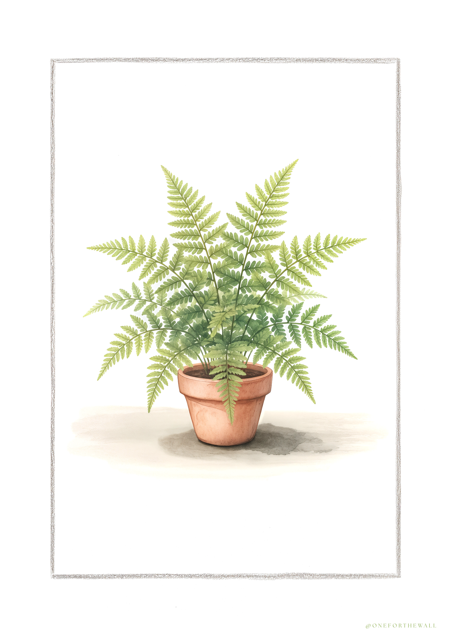 Fern - Art Print