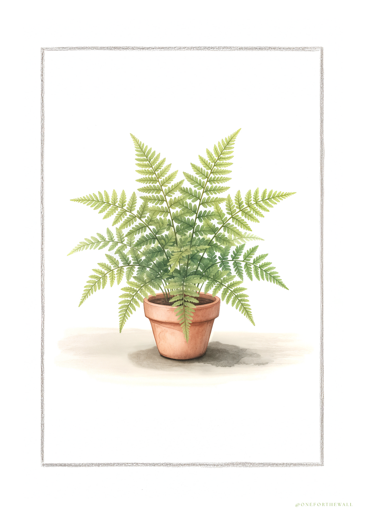Illustreret bregneplakat – nordisk minimalistisk botanisk motiv