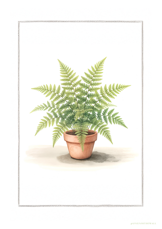 Illustreret bregneplakat – nordisk minimalistisk botanisk motiv