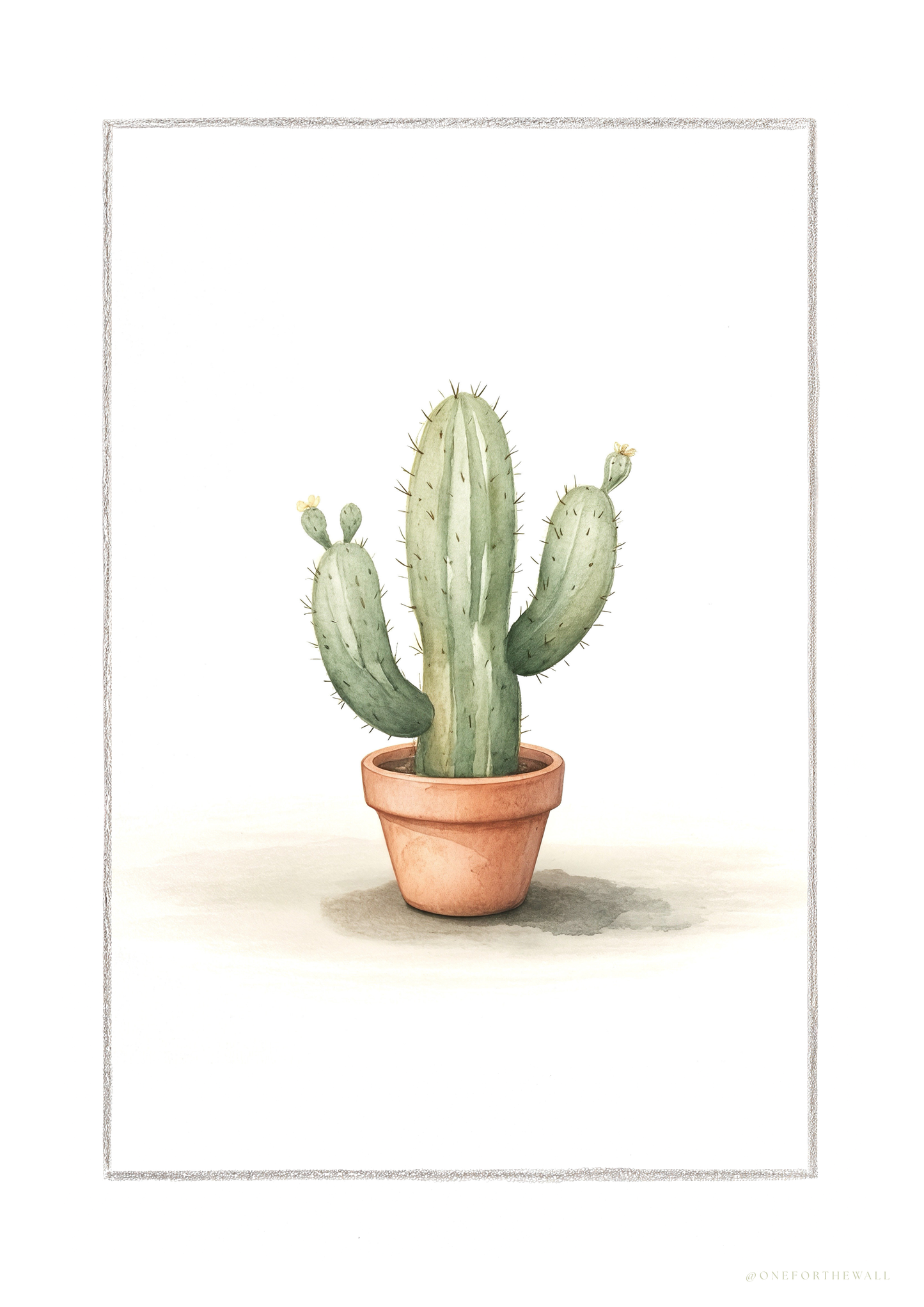 Cactus Cereus - Art Print