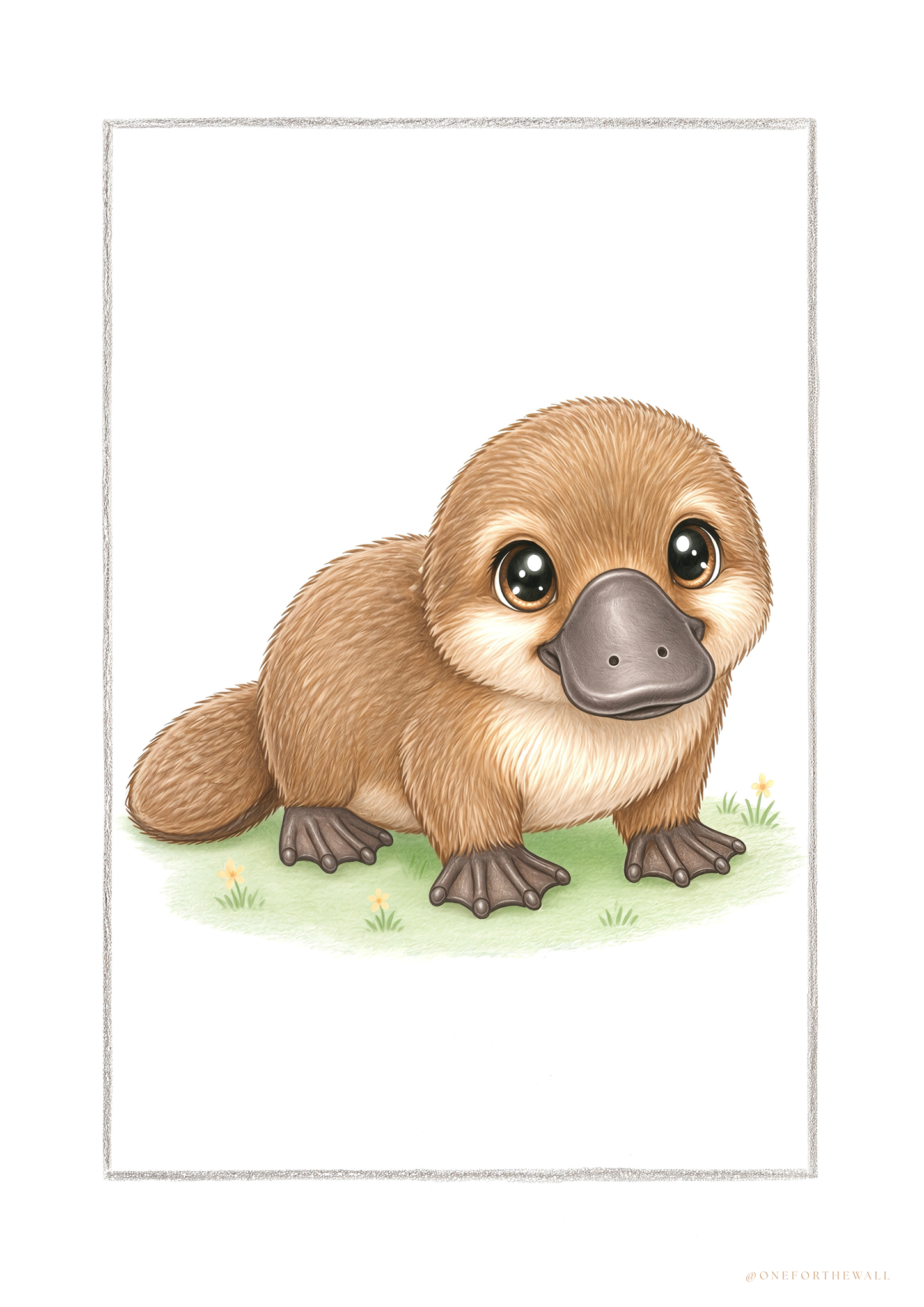 Little Platapus - Art Print