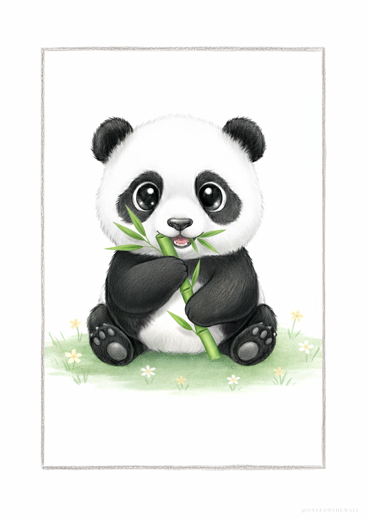 Pequeño Panda - Lámina Artistica