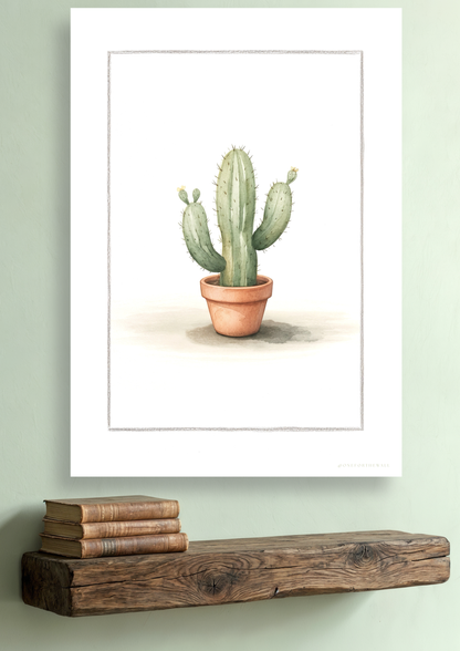 Cactus Cereus - Art Print
