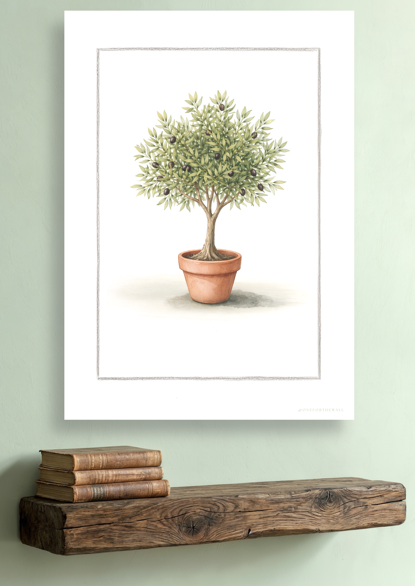 Olive tree - Art Print