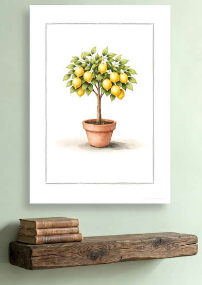 Lemon tree - Art Print